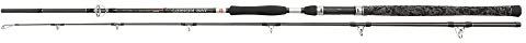 Penn 1519186 Legion Cat Silver Allround angelruten , Schwarz Silber, 2.40m |100-300g