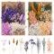 Bohoman Fiori Secchi Naturali, 2 Borse Fiore Essiccato Pressati Fiori Secchi Veri Fiori Secchi per Resina Foglie Floreali Colorati e Misti Petali per Fai da Te Scrapbooking Candele Decorazione