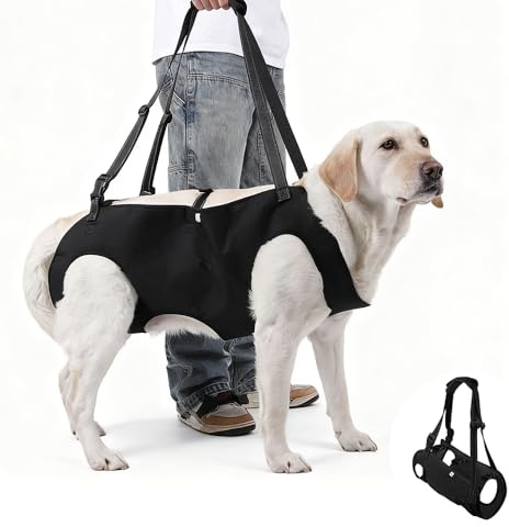AXVRAV - Harnais de soutien pour chien - Aide à la marche portable - Sangle de transport pour chien avec poignée - Support de hanche pour pattes arrière - Noir