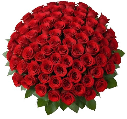 100 Red Roses | Bulk Roses by Arabella Bouquets | Real Fresh Flowers for Delivery, Gift for Birthday Women, Congratulations, Anniversary, Thank You, Valentine's Day