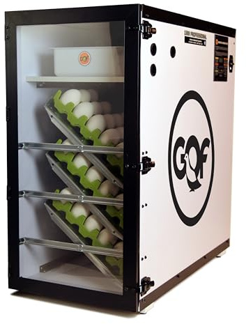 1500 Digital Professional Incubator