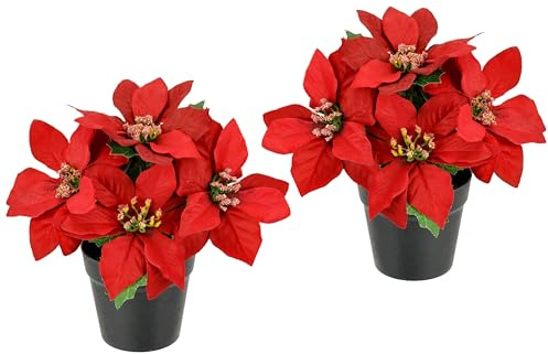 Lot de 2 Fleurs artificielles en Pot - Étoile de Noël - Décoration de Noël - Fleurs artificielles - Branche de X'Mas - Cadeau - Décoration de l'Avent
