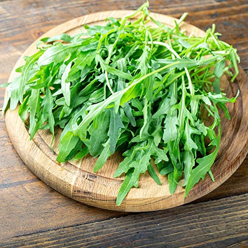 rucola, rucolasamen gewächshaus balkon exotische bio grünpflanzen bio gemüsesamen alte sorten bonsai pflanzensamen gartenpflanzen winterhart mehrjährig winterharte garten gemüsesamen 500samen