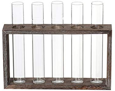 BESTonZON Antique Wooden Frame Style Glass Tube Vase for Hydroponic Flowers Creative Decoration for Indoor Gardening
