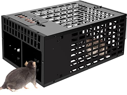 MMcRRx Piege A Souris Vivante, Cage Piège à Rat Réutilisable, Grand Piege A Rongeur 30 * 19 * 13CM