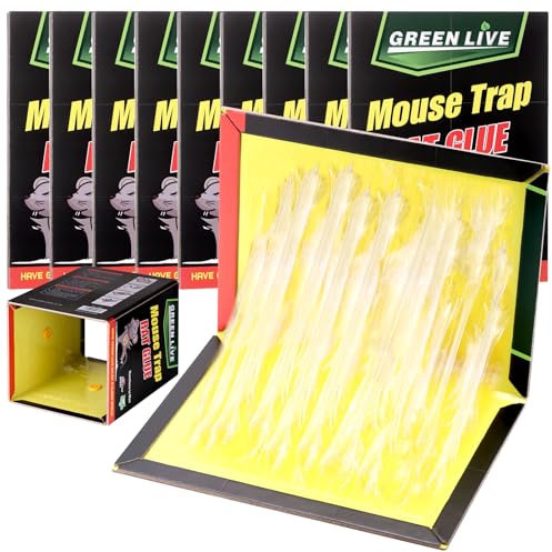 10 Pezzi Colla Adesiva Extra Forte per Roditori (31×21 cm) – Trappola Ecologica Professionale per Interni, Elimina Topi, Scarafaggi e Ragni | Facile da Usare, Non Tossica, Adesivo Potente