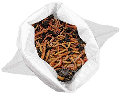 Alpenwurm 0,5 kg de gusanos compostables (aprox. 500 unidades)