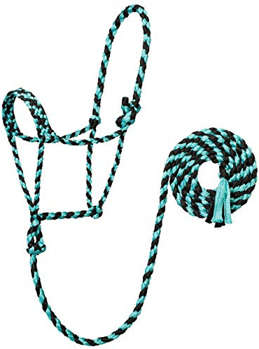 Braided Rope Halter with 10' Lead