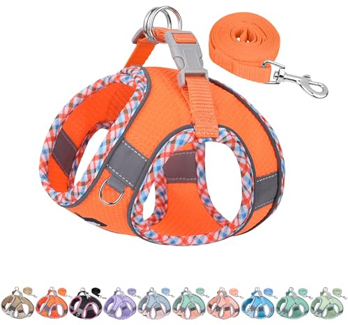 AIITLE Ensemble Harnais et Laisse pour Chien, Harnais Anti-Traction pour Chiot avec Maille Super Respirante, Essentiels pour Chiots pour Petits Chiens, Chats Orange XS