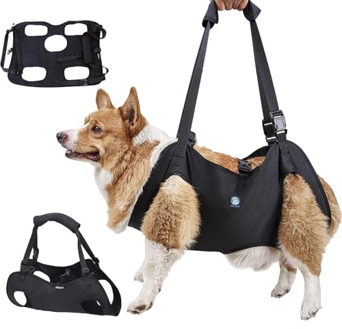 KAJILE Imbracatura di Sollevamento/Trasporto per Cani,Cinghie di Sostegno e Di riabilitazione Dell'imbracatura per Animali Domestici per Anziani,Disabili,Iesioni Articolari,Artrite,Nero,L