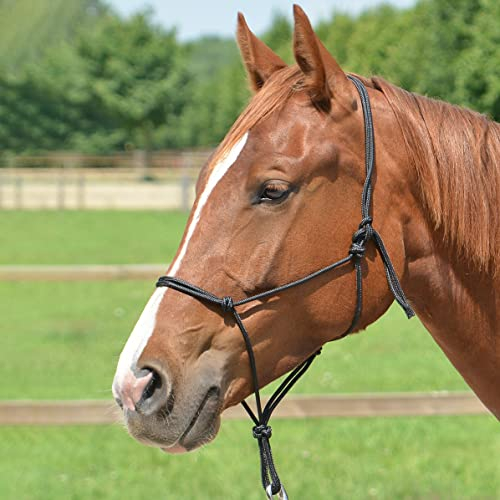 Busse Smooth II Knot Halter