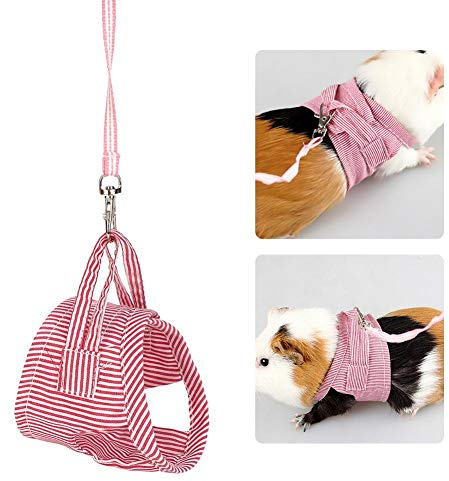 Harnais et Laisse pour Petits Animaux, Rouge, Ensemble Harnais Écureuil Cochon d'Inde Hérisson Chinchilla, Laisse pour NAC, Accessoire Promenade pour Rongeurs, Usage Extérieur