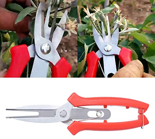 EIMSOAH Cisailles de Jardin en Acier Inoxydable, Cisailles de Jardin Tranchantes, Sécateurs Verrouillables pour Pommiers et Poiriers