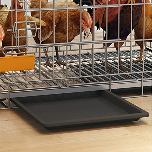Pollaio gabbia per galline, Gabbia Per Polli Pieghevole, Grande Pollaio Con Ruote E Vassoio Per Letame Rimovibile Per 2 3 5 6 Galline, Conigliera Da Interno Con 2 Porte ( Size : 50x33x33cm/20x13x13 in