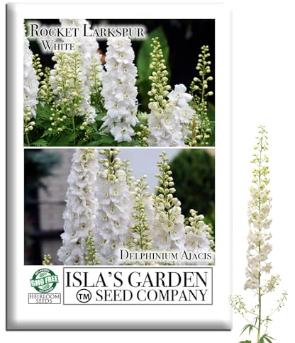 White Larkspur Rocket Flower Seeds (Delphinium ajacis) – 250+ Heirloom Non-GMO Seeds by Isla’s Garden Seeds, Tall Elegant Spikes, Cut Flower Garden Favorite, Cool-Season Annual Blooms, Gift Idea
