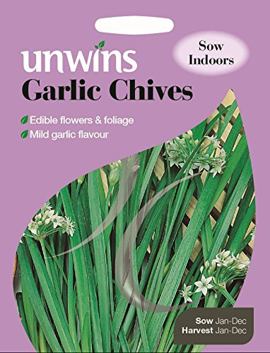 Unwins Pictorial Packet - Herb Garlic Chives - 100 Seeds
