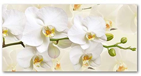 Tulup Glas-Bild Wandbild aus Glas - Wandkunst - Wandbild hinter gehärtetem Sicherheitsglas - Dekorative Wand für Küche & Wohnzimmer 120x60 - Blumen & Pflanzen - Orchidee - Weiß