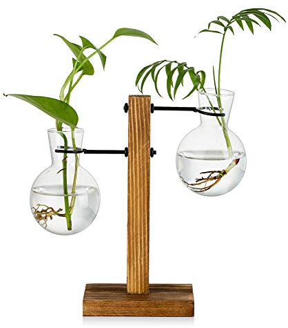 Vermehrungsstation Mit Holzregal 2 Birne Vintage Avocado Vase Glas Reagenzglas Vasen Für Blumen Eichel Pflanze Für Home Table Desk Indoor Decor
