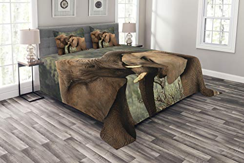 ABAKUHAUS Elefant Tagesdecke Set, Großwild Savanna, Set mit Kissenbezügen Waschbar, für Doppelbetten 264 x 220 cm, Braun Grün