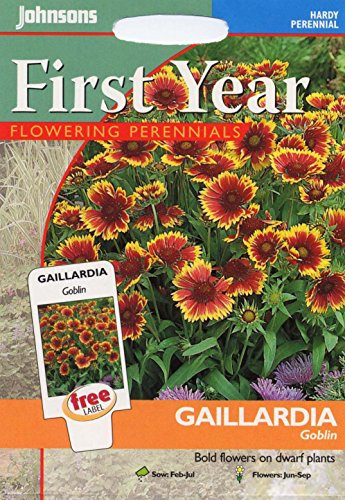 johnsons seeds - Paquete ilustrado - Fiore - Gaillardia Goblin - 100 Semi