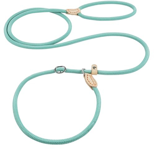OSDUE Slip Lead for Small Medium Dogs,1.8m Dog Training Leash Rope,Cyan | No Collar or Harness Needed, Durable Strong, Adjustable Pet Lead Leash for Training, Walking, Daily Use