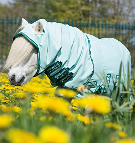 Horseware Rambo Petite Hoody - Ice-Green/Green