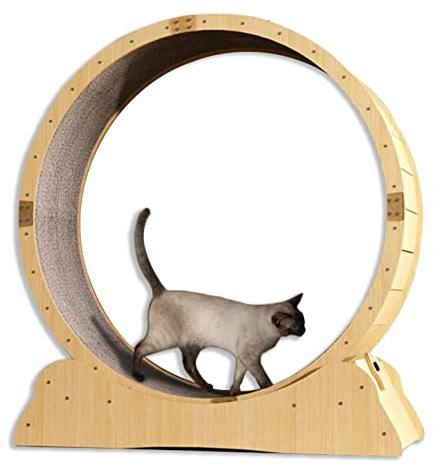 C'ESTBON katzenlaufrad Hölzernes Katzenübungs-Riesenrad, Haustierfreundliches Katzenlaufband mit Austauschbarer Laufbahn, Indoor-Katzenlaufrad mit Schloss, Winziger Spalt und Leise Riemenscheiben