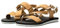 Jack Wolfskin Damen Urban Entdeckung Belt Sandal W Sandale, Fischer, Dunelands, 38 EU
