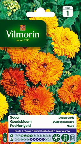 Vilmorin 5791041 Souci Double varie, Multicolore