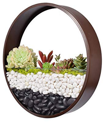 Ecosides 10 / 25 cm rund metallglasväggvas, vit väggkruka hängande väggblomkruka för inomhusväxter, suckulenter, luftväxter, kaktor, konstgjorda växter och mer, trädgårdsentusiast väggdekoration
