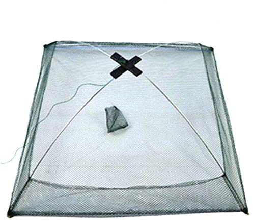 Minan Kescher Zum Angeln, 60x60CM Faltender Fischernetz-Hummer, Käfig Outdoor Angelwerkzeug, Köderfisch-Senke Mit Fluchtschutz Und Schnellspann-System Für Teiche Karpfen Forellenangeln