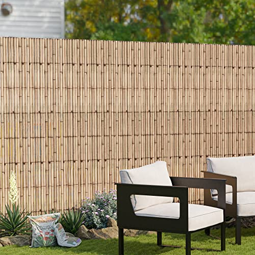 casa.pro Cañizo Entero Malla de Ocultación para Jardín Balcón Privacidad Estera de Jardín de Caña - 500 x 200 cm - Color Natural