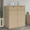 Faroom Rattan Gartenschrank Auflagenbox, Geräteschrank, Beistellschrank, Balkonschrank, Terrassenschrank, 2 stöckiger Gärtnerschrank, Aufbewahrungsbehälter für Garten 105 x 55 x 113 cm, Beige