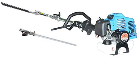 BRACOG Pro Cortasetos a Gasolina de Altura Profesional para Podar Jardín (Motor 2T, 3cv). Cortasetos para Césped con Longitud de 3 Metros. Cortador Césped