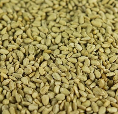 Semillas de Girasol BusyBeaks - Alimento de Grado panadería para Aves Silvestres (2.5kg)