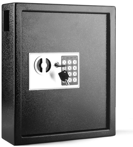 Flexzion Wall Mounted Key Box Organizer - 40 Key Holder Cabinet With Code, Colored Tags, Deposit Slot (Black)