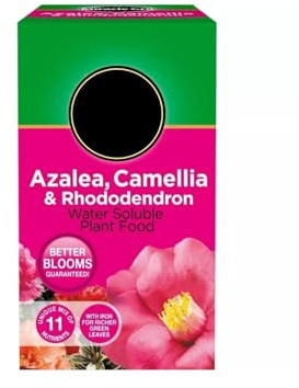 Miracle Gro Soluble Ericaceous Plant Food 500g Fertiliser for Azalea, Camellia, Rhododendron, Blueberries & Acid-Loving Plants Fast Growth, Greener Leaves & More Blooms Pink - 2 Pack (500g)