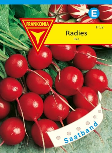 FRANKONIA Semillas de rábano, cinta de semillas de Ilka - Semillas de hortalizas Semillas de rábano Semillas (Raphanus sativus)