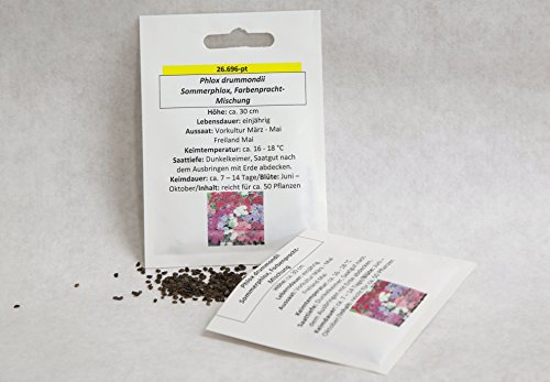 Sommerphlox, Flammenblume, Farbenpracht Samen Saatgut ca. 50 Pfl.