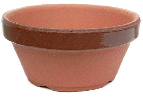 Vaso Tokoname giapponese da coltivazione per bonsai 12,7x5,8 cm (TC4)