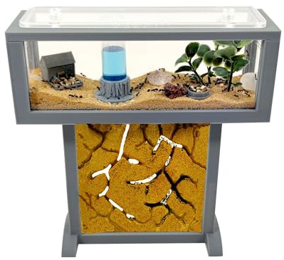 Ameisenfarm-Set T – Mini-Natursand 15x5x16 – Gratis Ameisen inklusive ┃ 20–30 Ameisen