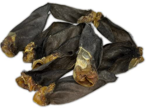 HAIRY Buffalo Ears Natural Dog Chew Treat Grade A Quality Large Ear -Pawstrading (10)