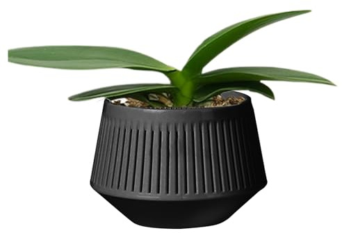 Vasi per orchidee – vasi traspiranti per il controllo delle radici, contenitori a doppio strato | Forniture da giardino per interni, struttura ventilata, design del fondo trasparente con efficiente