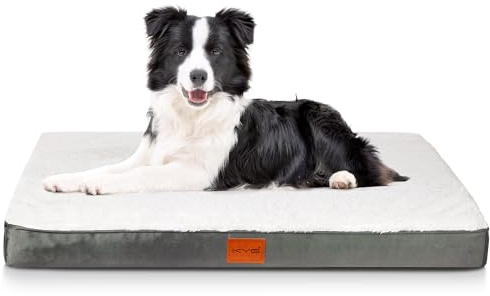 KYG Orthopädisches Hundebett Grosse Hunde Hundekissen Waschbar Hundematte für mittelgroße, kleine Hunde Flauschig Hundematratze, M, 76x50x7.5cm