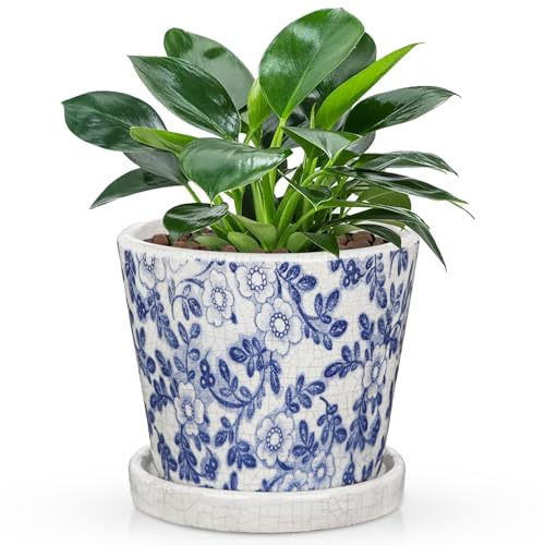 Oairse Keramiktopf Pflanztöpfe Runde 14cm Durchmesser Klein Blumentöpfe mit Drainagelöchern und Untersetzern Kleiner Keramik-Pflanztopf für Sukkulenten Kaktus Indoor Outdoor Garten Home Fensterbank