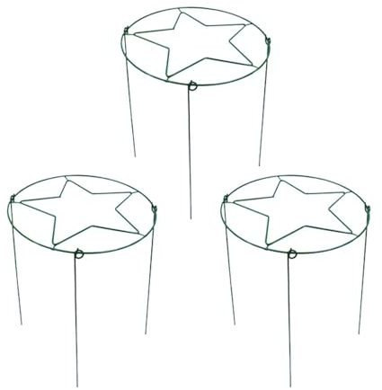 F Fityle Lot de 3 Supports de Plantes en métal pour hortensias, rosiers, pothos, lys, pivoines, Plantes grimpantes, Vert