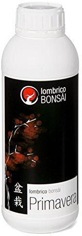 BonsaiGranada | Lombrico Bonsaï Printemps 1 lL8