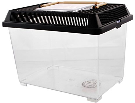 Dragon – Pet Plaza Boîte en plastique/faune astrium Small – 23 x 15 x 16 cm – env. 1,35l inahlt
