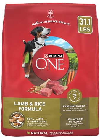 Purina ONE Dry Dog Food Lamb and Rice Formula - 31.1 lb. Bag