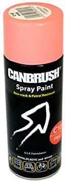 Canbrush Spray Paint for Metal Plastic and Wood (C18 Pink)